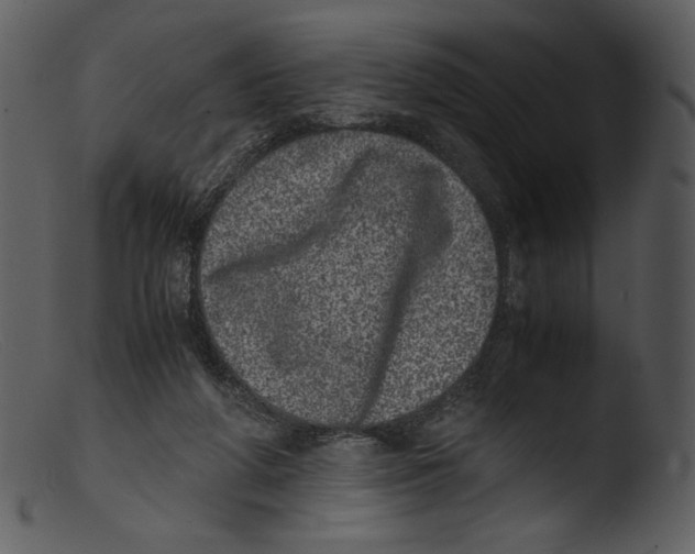 X0000103270210200809261209