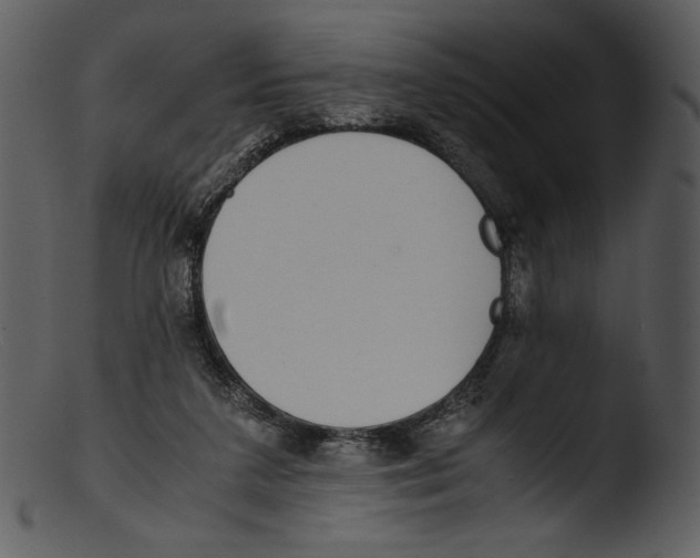 X0000103270211200809261209