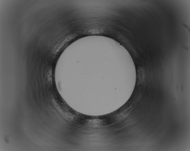 X0000103270212200809261209