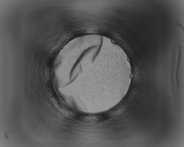 X0000103270213200809261209