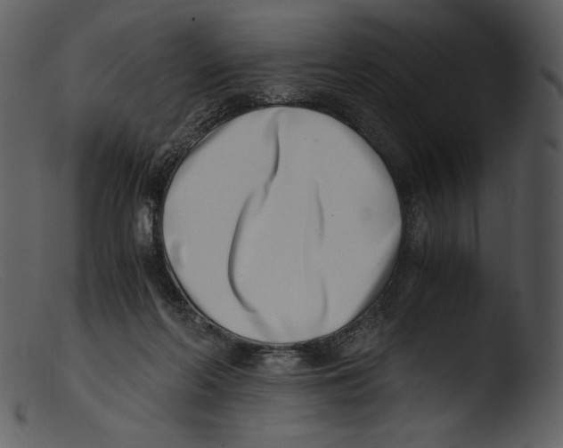 X0000103270214200809261209