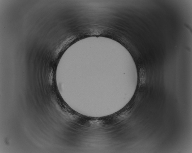 X0000103270216200809261209