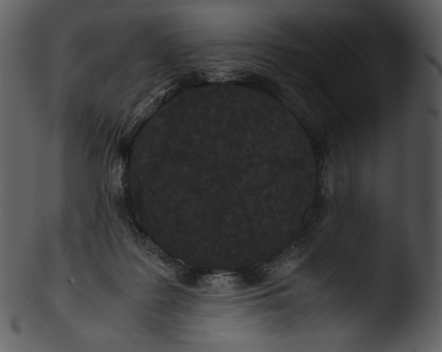 X0000103270219200809261209