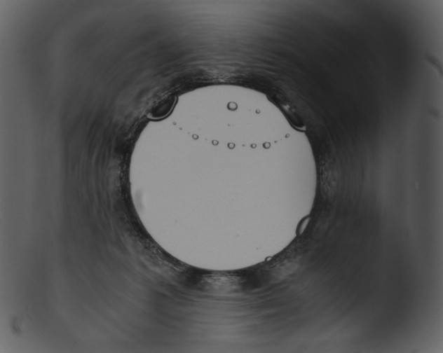 X0000103270221200809261209