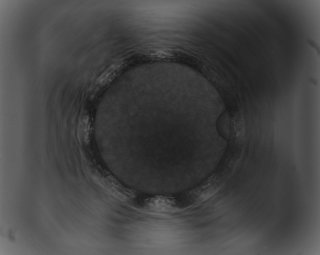 X0000103270223200809261209