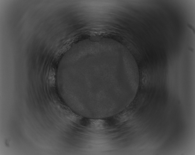 X0000103270226200809261209