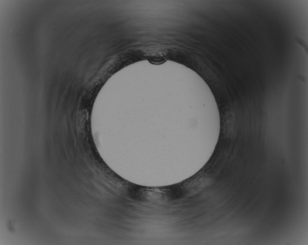 X0000103270229200809261209