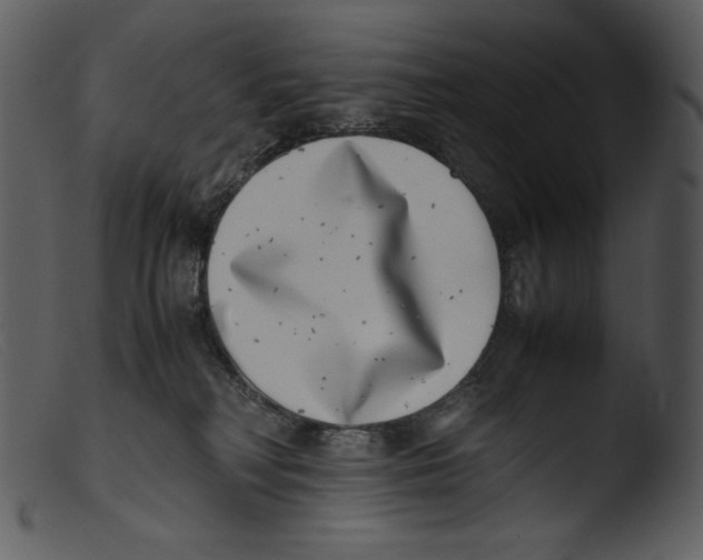 X0000103270230200809261209