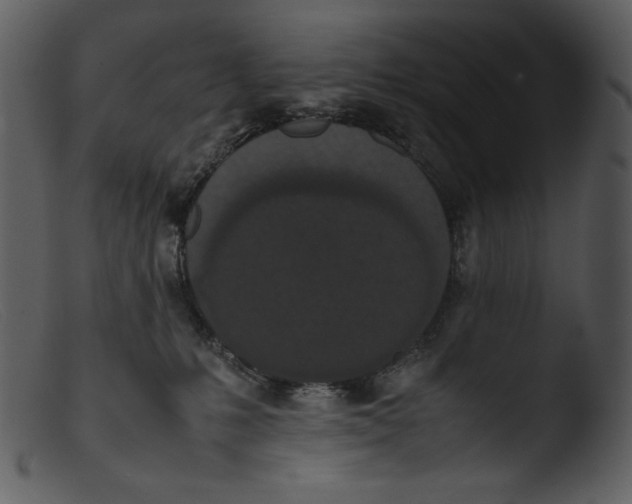 X0000103270231200809261209