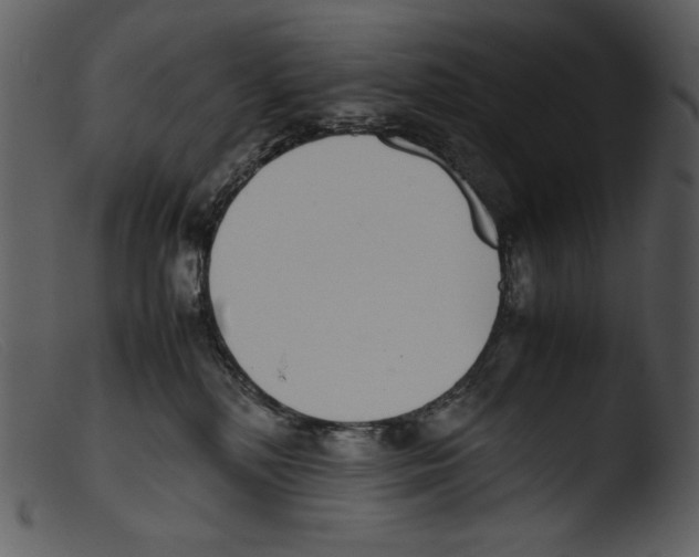 X0000103270232200809261209