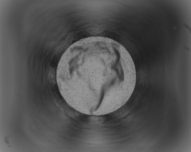 X0000103270234200809261209