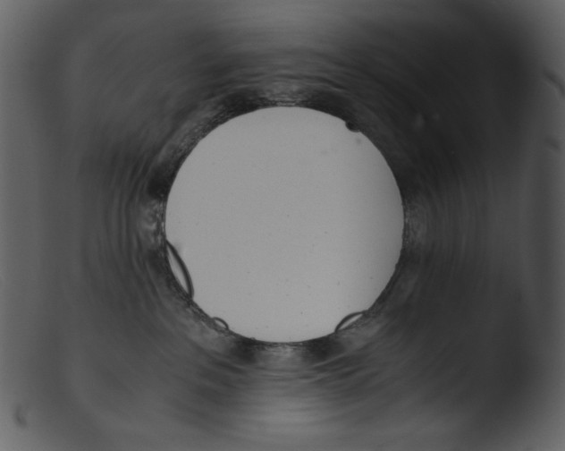 X0000103270237200809261209