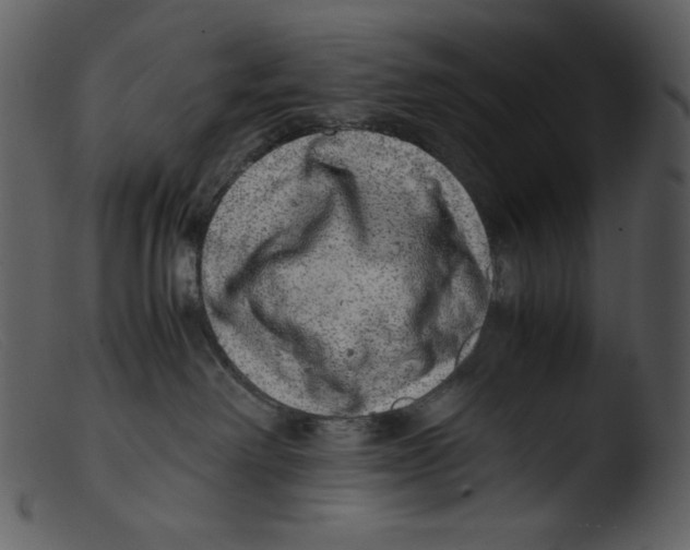 X0000103270238200809261209