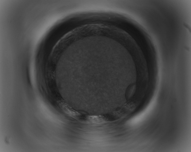 X0000103270239200809261209