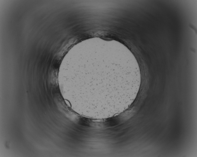 X0000103270240200809261209