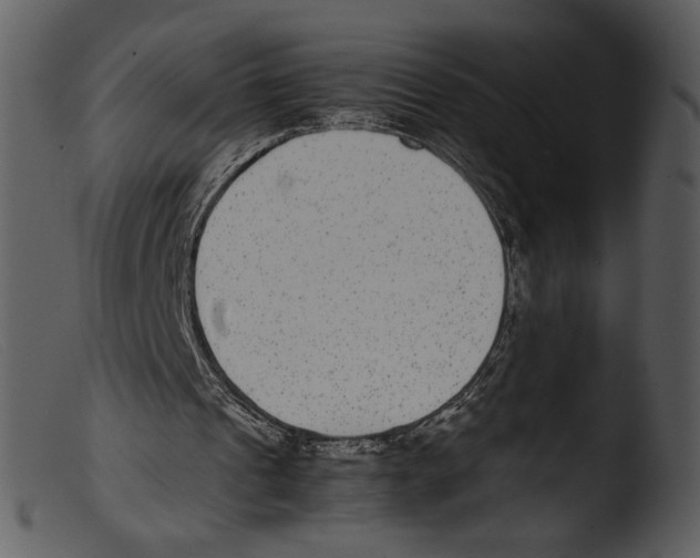 X0000103270241200809261208