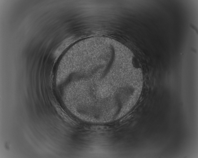X0000103270242200809261208