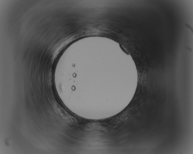 X0000103270244200809261208