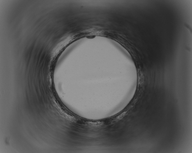 X0000103270245200809261208