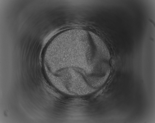 X0000103270246200809261208