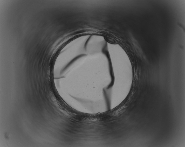 X0000103270247200809261208