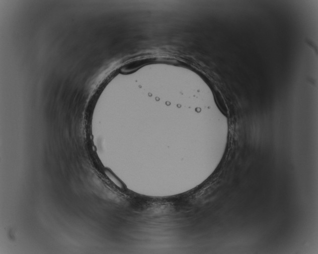 X0000103270248200809261208