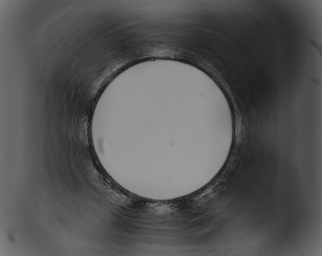 X0000103270249200809261208