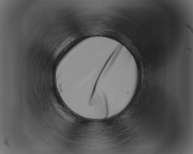 X0000103270250200809261208