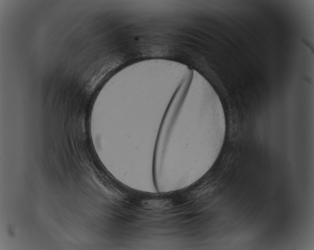 X0000103270251200809261209