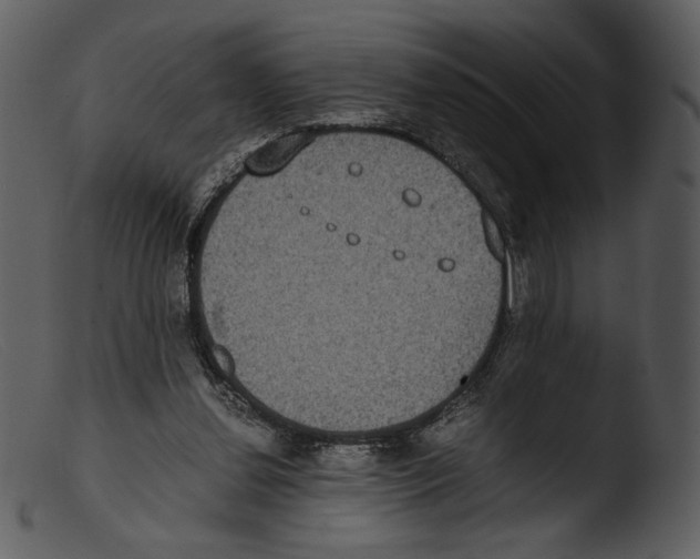 X0000103270252200809261209