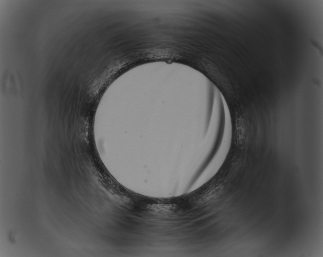 X0000103270255200809261209