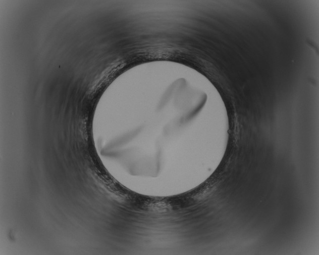X0000103270258200809261209