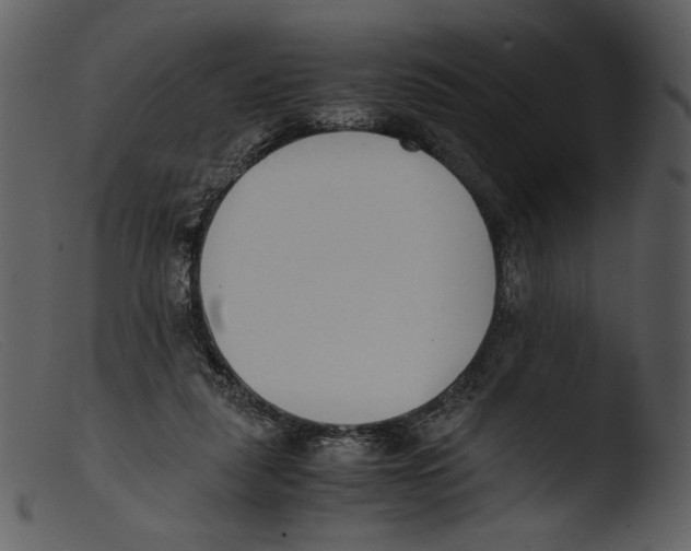X0000103270259200809261209