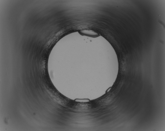 X0000103270260200809261209
