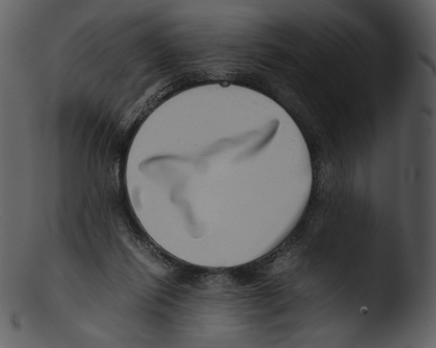 X0000103270262200809261209
