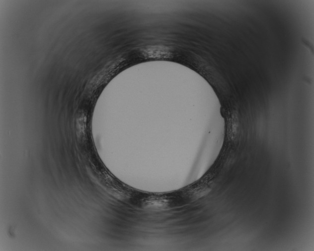 X0000103270263200809261209