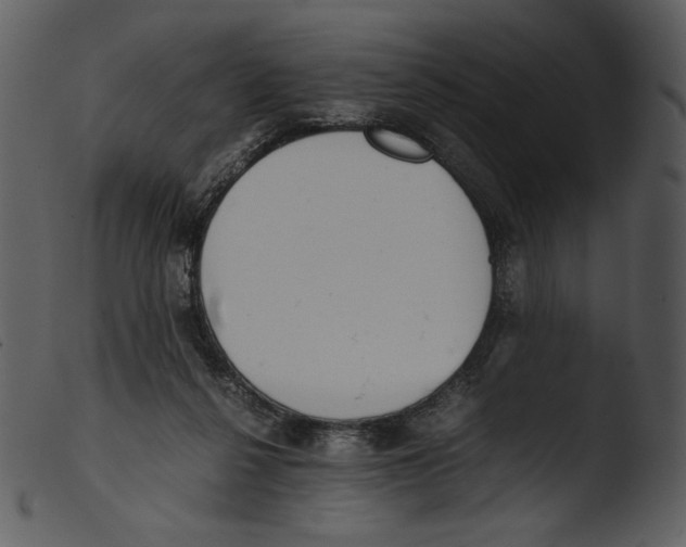 X0000103270264200809261209