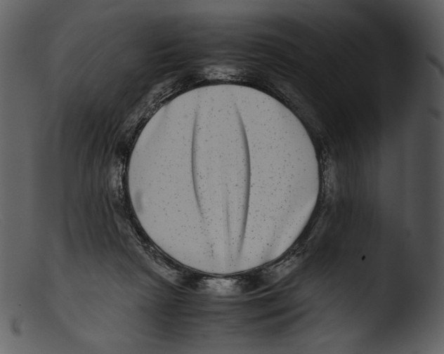 X0000103270265200809261209