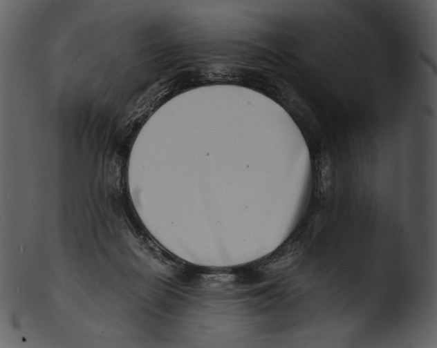 X0000103270266200809261209