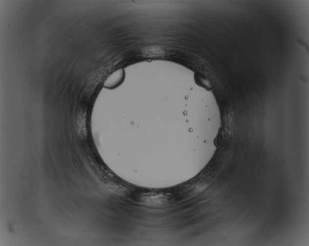X0000103270267200809261209