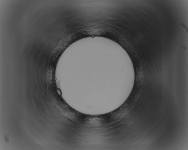 X0000103270268200809261209