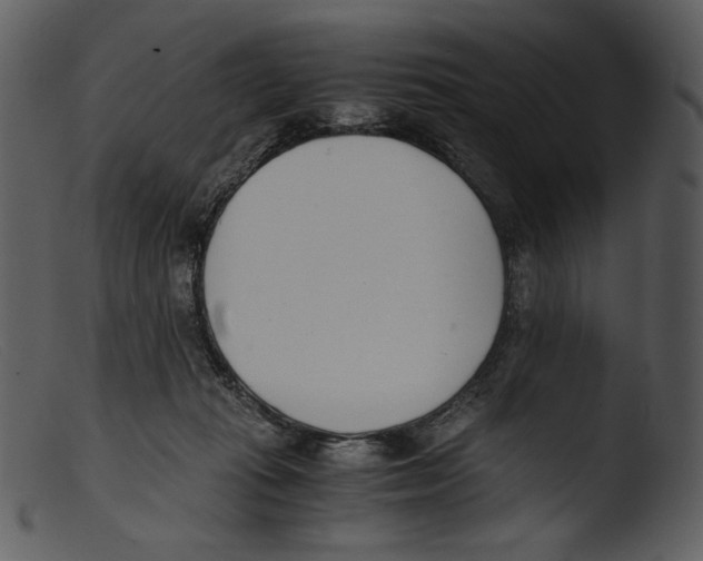 X0000103270269200809261209