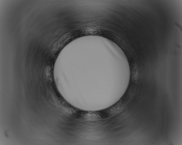 X0000103270270200809261209