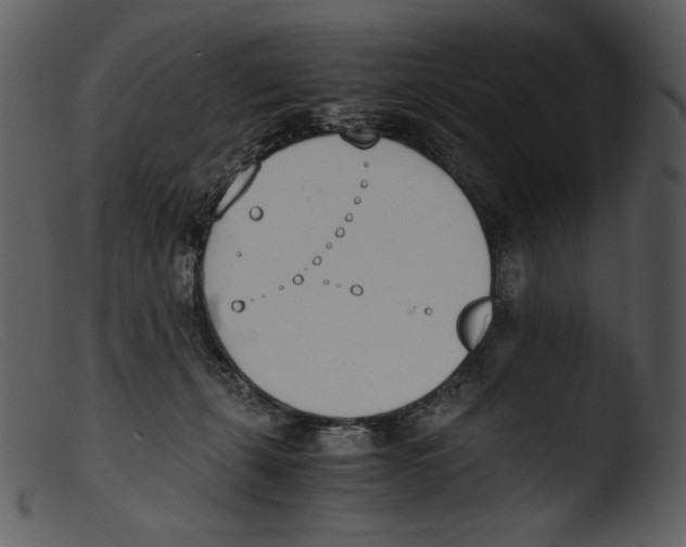 X0000103270271200809261209