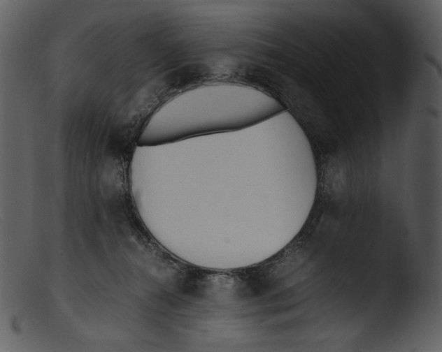 X0000103270272200809261209