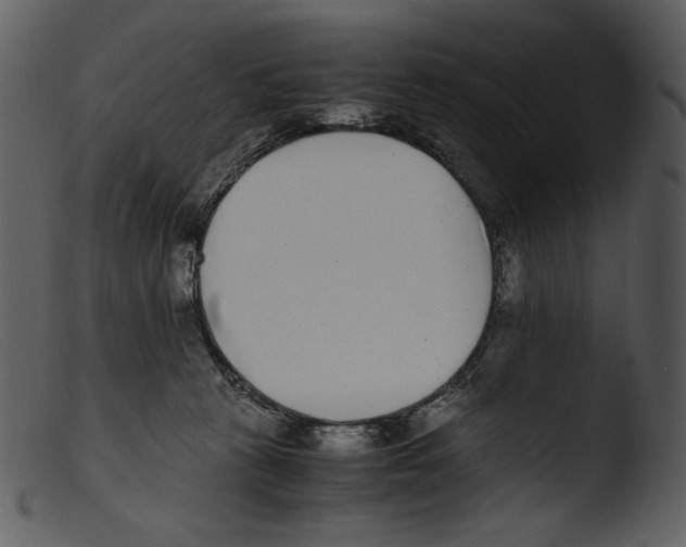 X0000103270273200809261209