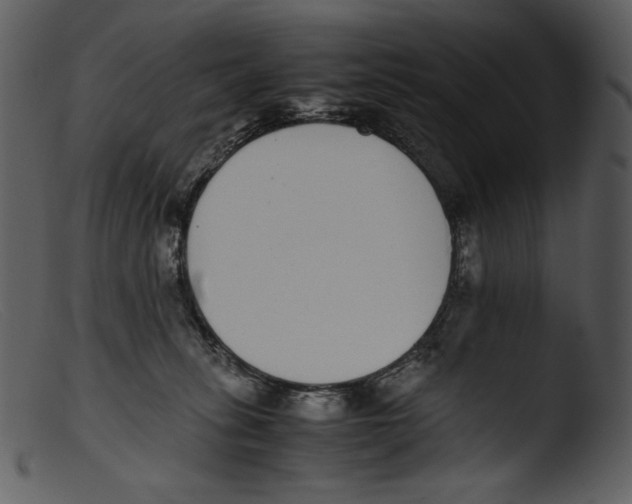 X0000103270275200809261209