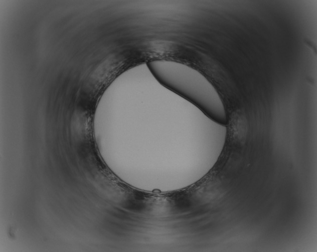 X0000103270276200809261209