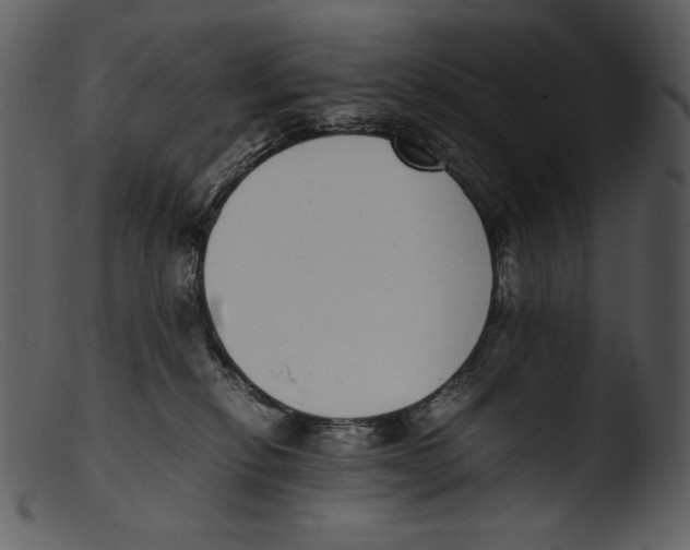 X0000103270278200809261209