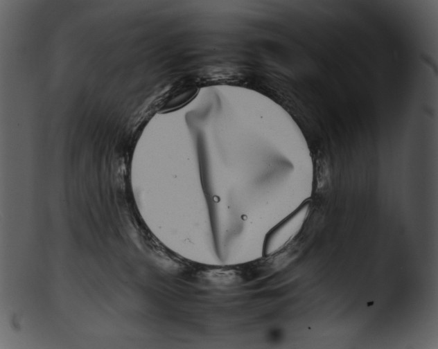 X0000103270279200809261209